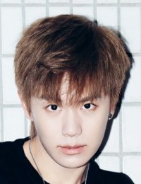 Фото актера Пан Лу Ю