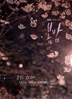 Дорама Весенняя ночь