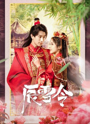 Дорама Брачный знак