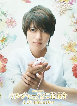 Дорама Цветы для Элджернона