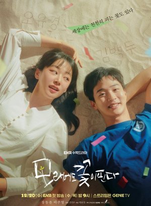 Дорама Цветы расцветают даже на песке