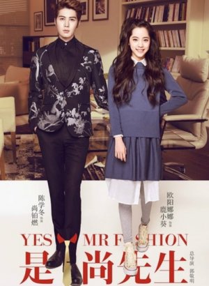 Да, господин модельер