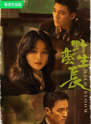 Дорама Дикий цветок