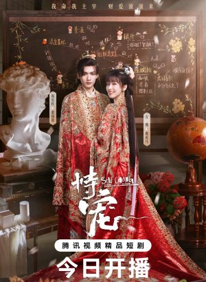 Дорама Его фаворитка