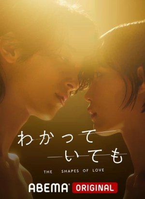 Дорама Формы любви