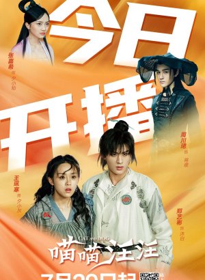 Дорама Кошка с собакой