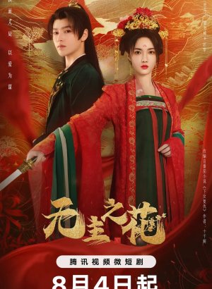 Дорама Леди-командир