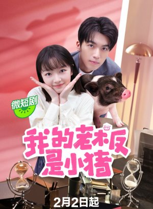 Дорама Мой босс поросенок