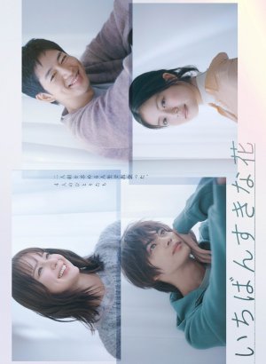 Дорама Мой любимый цветок