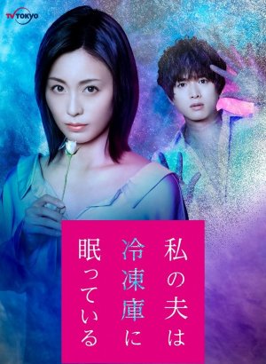 Дорама Мой муж спит в морозильной камере