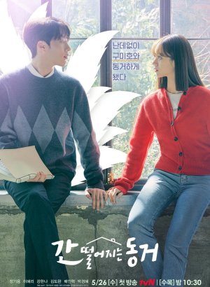 Дорама Мой сосед – кумихо