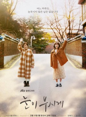 Дорама Ослепительно