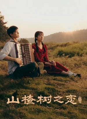 Дорама Под боярышником