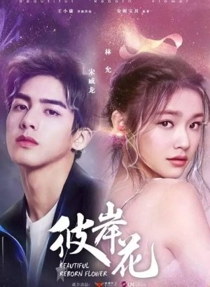 Дорама Прекрасный переродившийся цветок