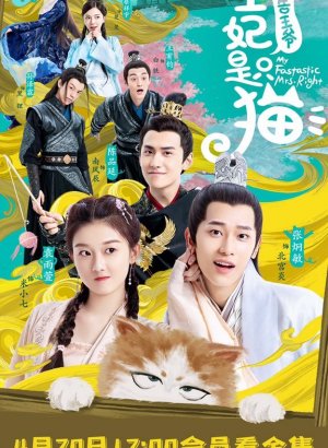 Дорама Принцесса - кошка