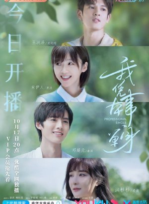 Профессиональный одиночка