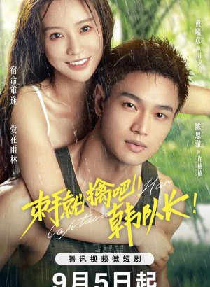 Дорама Сдавайся, капитан Хань!