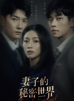 Дорама Тайный мир жены