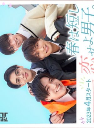 Весна коротка, влюбляйтесь, мальчики