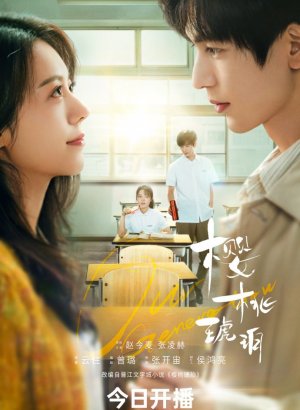 Дорама Вишневый янтарь